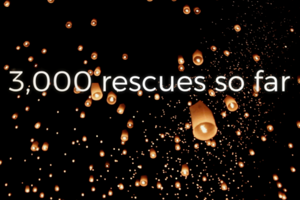 Article image for Destiny Rescue celebrates 3000 lives saved