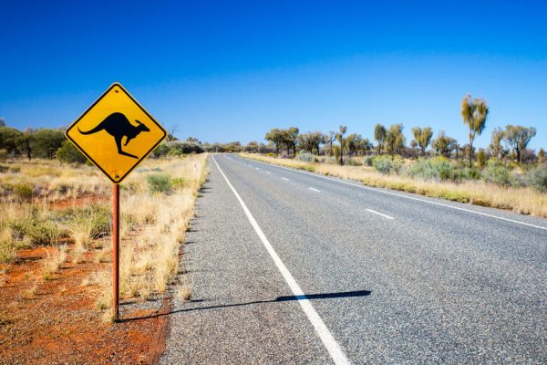 Article image for Calls to lure more Chinese tourists Down Under