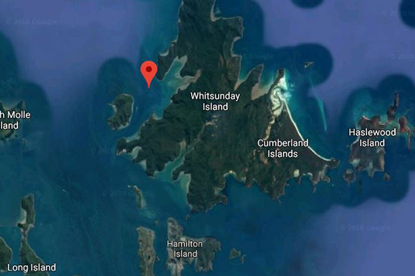 Article image for Shark attack: Man dies after being mauled in the Whitsundays