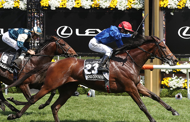 Article image for 2018 Melbourne Cup: Cross Counter wins dramatic Cup, ending Godolphin drought