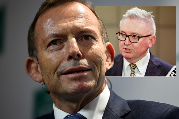 NSW Energy Minister had ‘a brain snap’, Abbott says