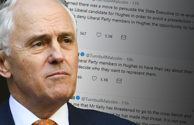 Malcolm Turnbull steps in to stop ‘worst and weakest’ bid to save jilted Lib