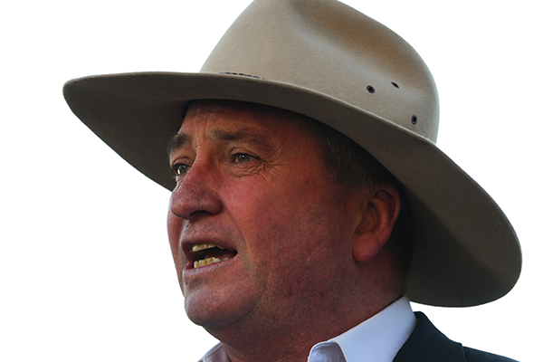 Article image for ‘I was invited’: Barnaby Joyce sets the record straight