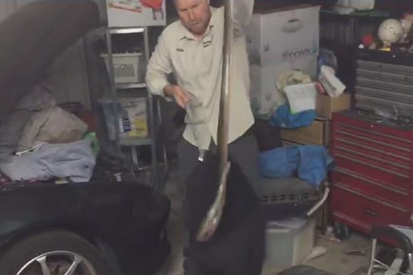 Article image for WATCH | Snake catcher bags largest ever brown snake caught on Sunshine Coast