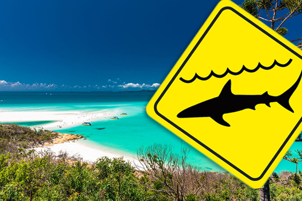 Shark attacks two people, including a child, at Hamilton Island
