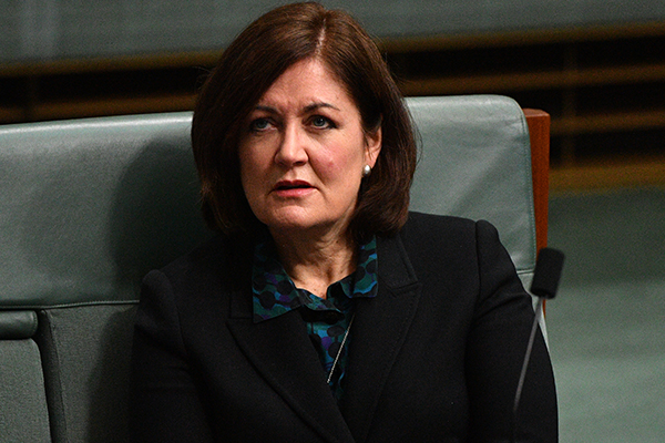 Liberal Party ‘has been an absolute champion for women’, says MP