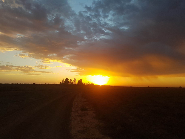 Beautiful sunrise photos as temperatures set to soar in the bush