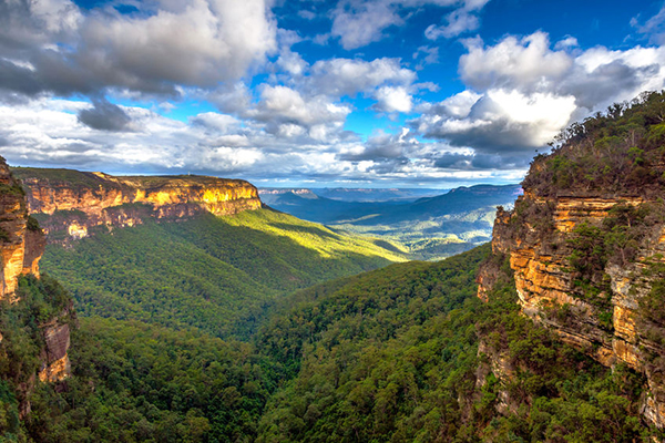 Article image for The world’s largest festival you’ve never heard of… in the Blue Mountains!