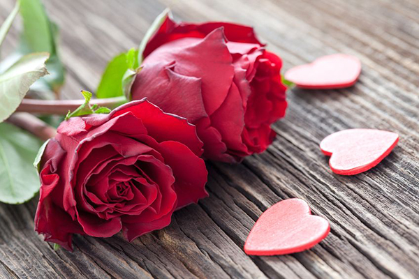 New research reveals trends in people celebrating Valentine’s Day