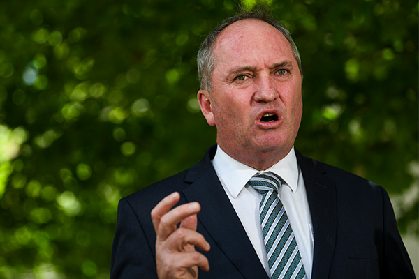 ‘Green myth’: Barnaby Joyce hits out at renewables