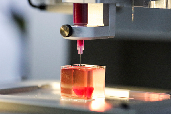 3D-printed organs used in transplants are ‘realistic’