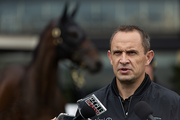 Article image for ‘Utter relief’: Chris Waller explains what’s next for Winx
