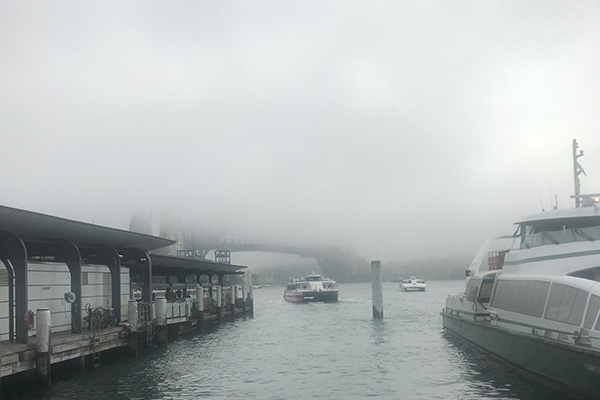 Flights and ferries cancelled as fog takes over Sydney