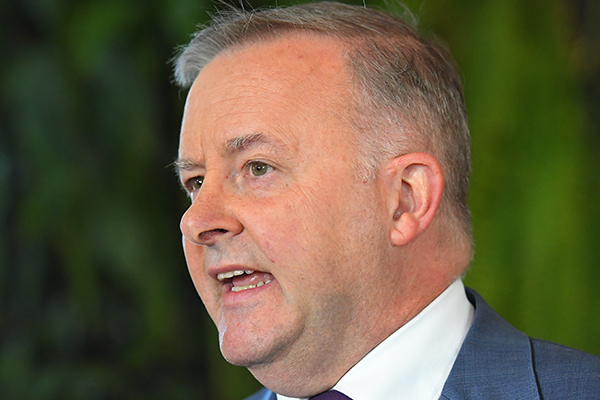 ‘We start again’: Anthony Albanese’s plan to reform Labor’s policies