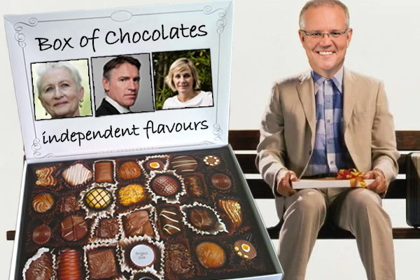 Scott Morrison Says Independents Are Like Forest Gump S Box Of