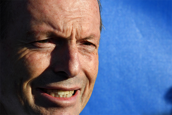 Article image for Tony Abbott has lost his seat of Warringah after 25 years