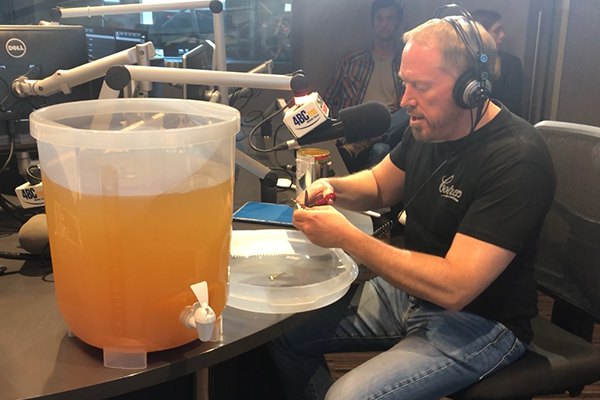 WATCH | How to brew your own beer at home