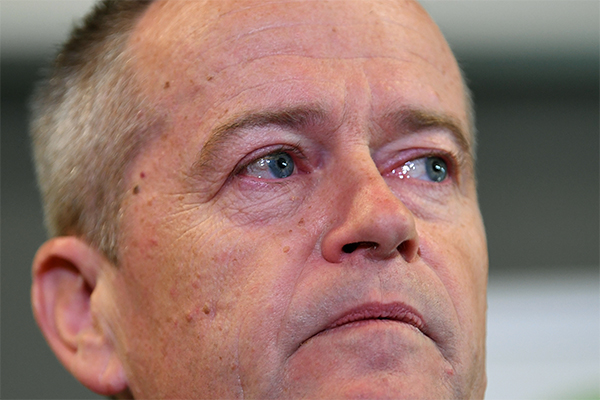 ‘Very upsetting and traumatic’: Anthony Albanese defends Bill Shorten
