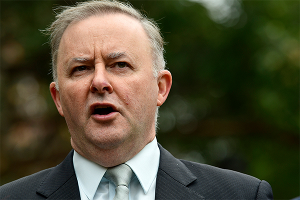 Article image for ‘I don’t respond to threats’: Albanese hits back