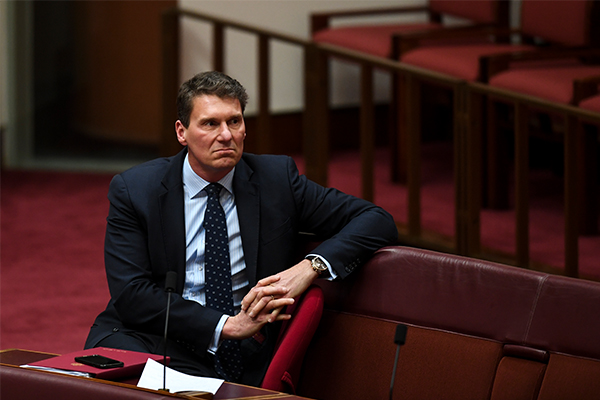 ‘My time is drawing to an end’: Bernardi signals political retirement