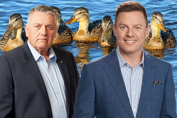 Article image for Shooting ducks: Is Ray Hadley the prime suspect?