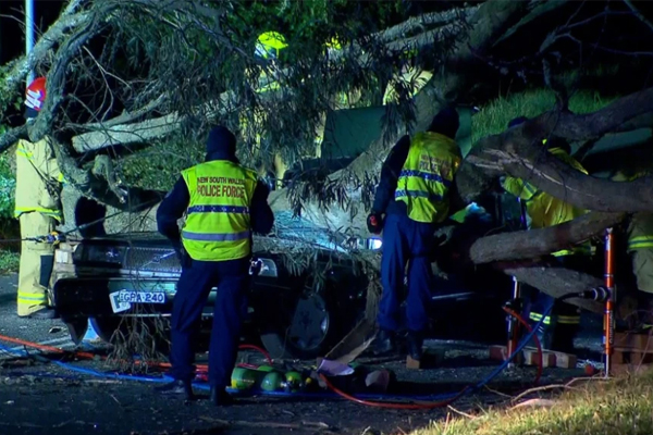 ‘A very sad day’: Paramedic killed after car crushed by falling tree, Katoomba