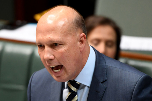 ‘Bizarre tactic’: Dutton rips into Labor for flip-flopping over foreign fighter laws
