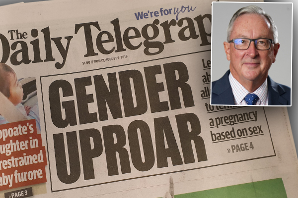 Article image for Minister slams Daily Telegraph for ‘completely wrong’ reporting on abortion bill