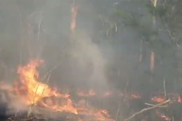 Bushfire closes the M1 motorway, causing massive delays