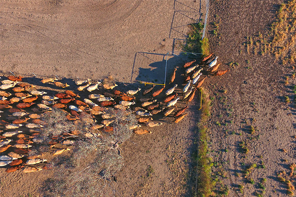 Article image for Drought set to worsen after ‘exceptionally dry’ winter