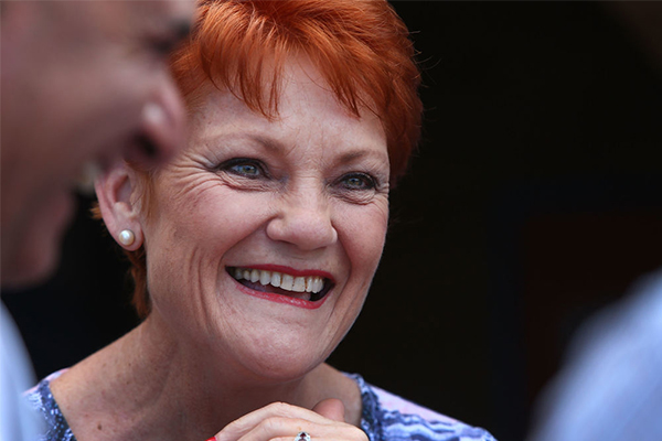 Pauline Hanson wins fight to launch inquiry into Family Court