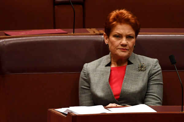 Legal expert slams Pauline Hanson for ‘ridiculous’ claims about Family Court
