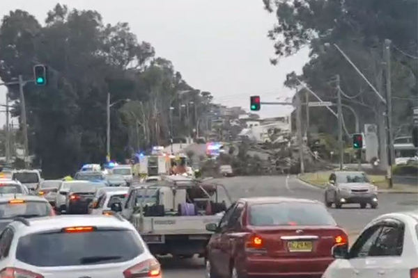 Heavy winds cause chaos across Sydney