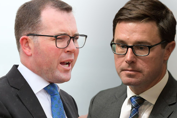 Article image for NSW Agriculture Minister launches scathing attack on his federal counterpart