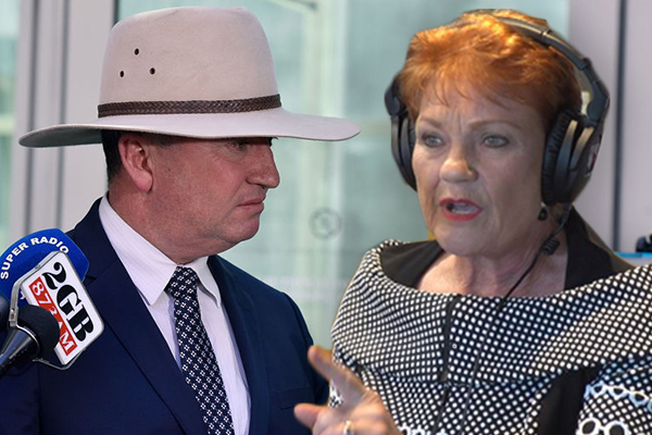 Article image for ‘Useless as tits on a bull’: Pauline Hanson slams Barnaby Joyce