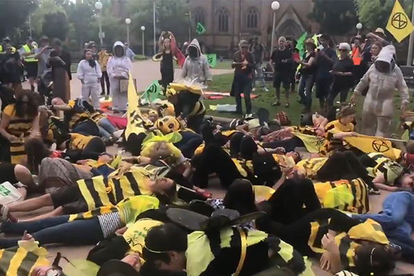 Extinction Rebellion protesters wreak havoc in Sydney CBD