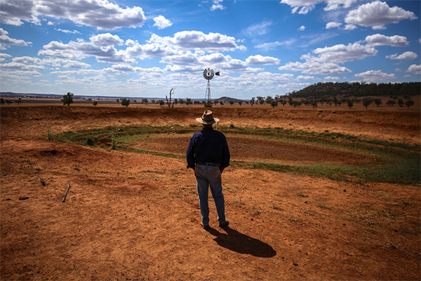 Article image for ‘No one understands’: Why this farm is crippled by drought despite an overflowing river