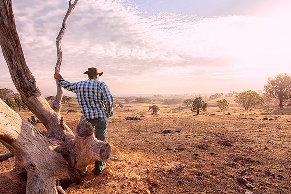 Scott Morrison asked to consider paying drought-ravaged farmers to leave the land