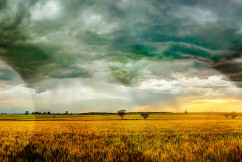 National Rural News July 2