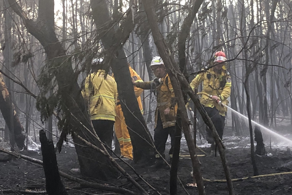 Article image for ‘These fires are suspicious’: RFS Deputy Commissioner’s astonishing revelation