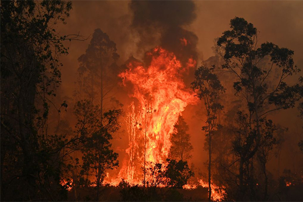 Article image for NSW bushfires: The worst is yet to come as ‘catastrophic’ conditions forecast