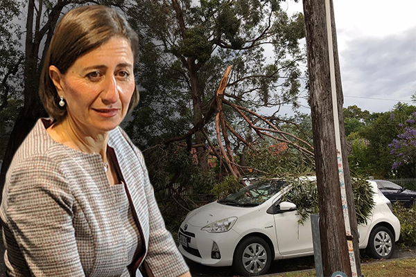 Article image for Premier has no answers for 13,000 homes STILL without power