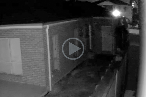 WATCH | Serial arsonist caught on camera