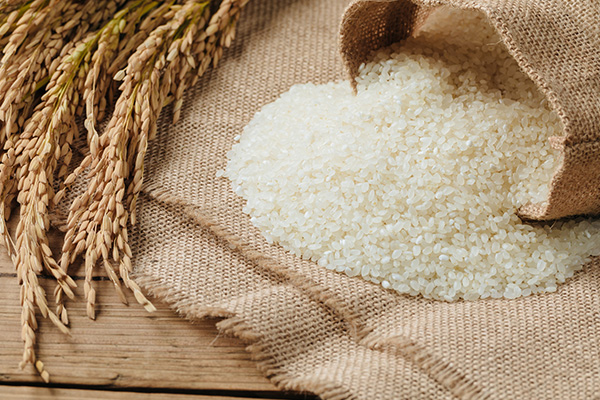 Rice jobs cut amid crippling drought