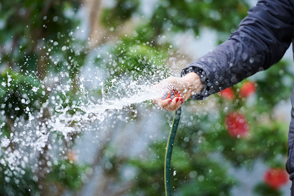 Article image for Tougher water restrictions imminent as Sydney’s dams rapidly dry up