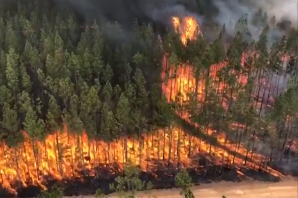 Article image for ‘Ultimate betrayal’: RFS volunteer charged with starting seven bushfires