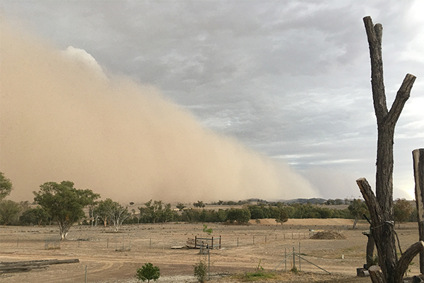Dust storms sweep across NSW and Queensland