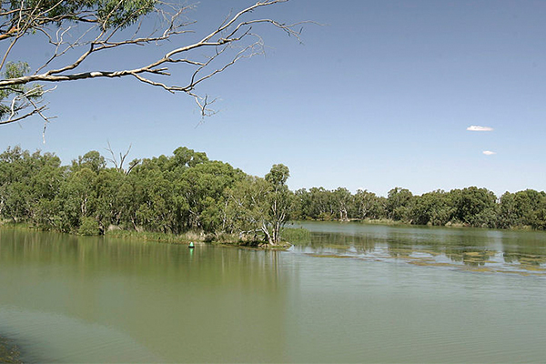 Article image for ‘Our stolen water’: Premier called on to give back to struggling farmers