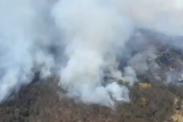 Northern Sydney and Central Coast warned to expect haze as hazard reduction undertaken