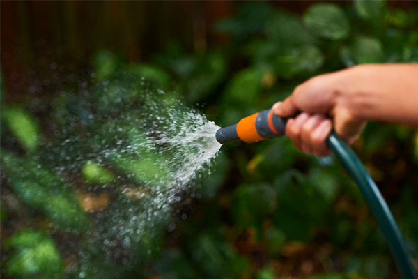 Article image for Sydney facing harshest water restrictions in a decade